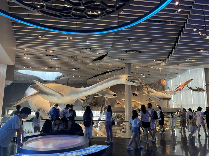 上海自然博物馆。（澎湃新闻记者 唐莹莹 图）