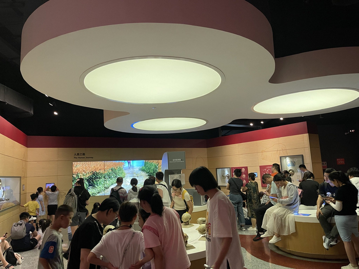 上海自然博物馆。（澎湃新闻记者 唐莹莹 图）