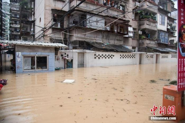 台风过后的福州市体育中心旁一小区。 李南轩 摄