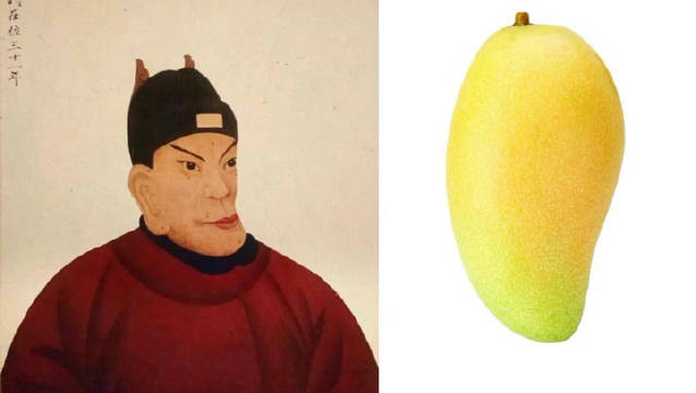 一个视频教你区分朱元璋和芒果,下次不要再买错了