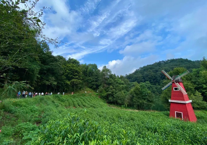 千岛湖龙川湾景区
