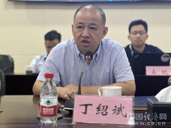 东风乘用车有限公司总经理丁绍斌 王跃跃 摄