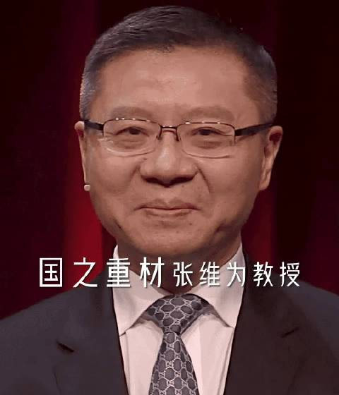 厉害了我的国这就是中国张维为教授学富五车