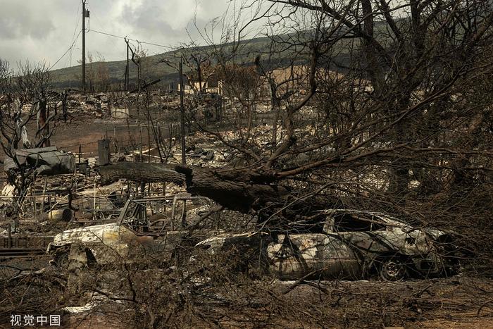 当地时间2023年8月14日，美国夏威夷州拉海纳，毛伊岛的一场野火过后，被烧毁的社区中，汽车只剩下了残骸。图源：视觉中国