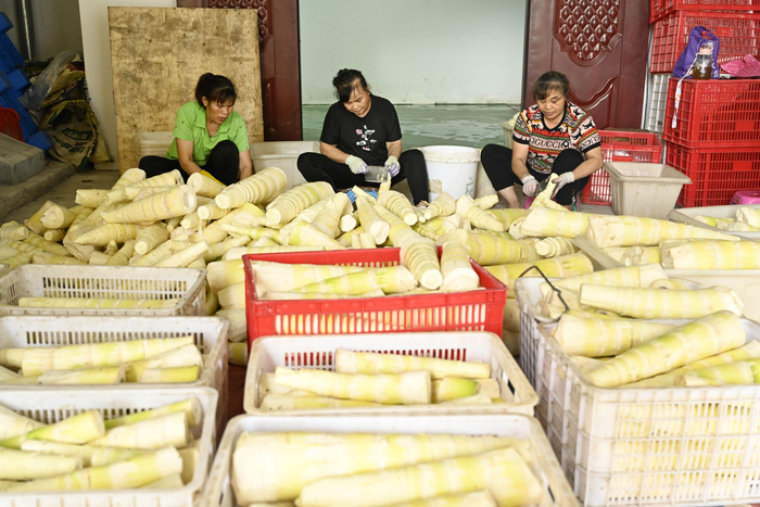 岑溪seo关键词优化
