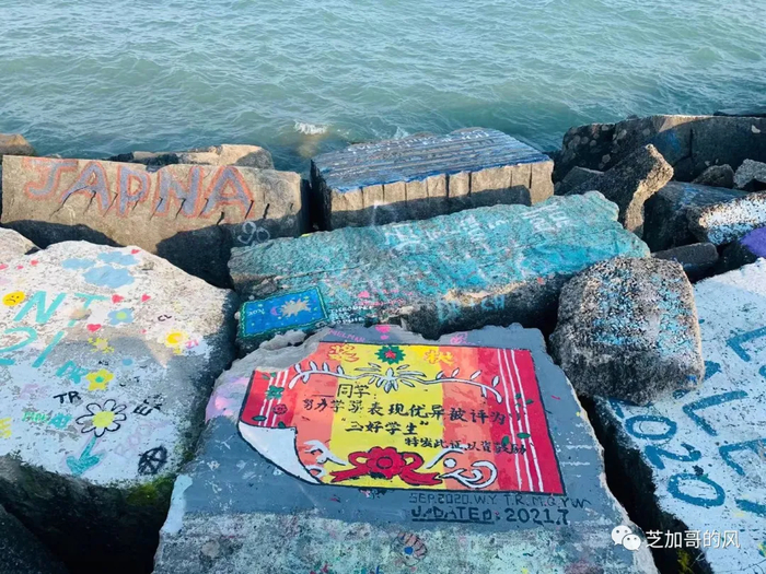 图源：芝加哥的风