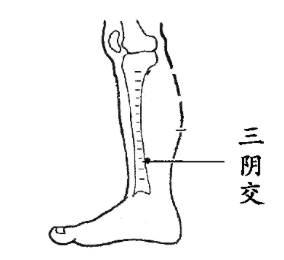 《针灸经络经穴图》
