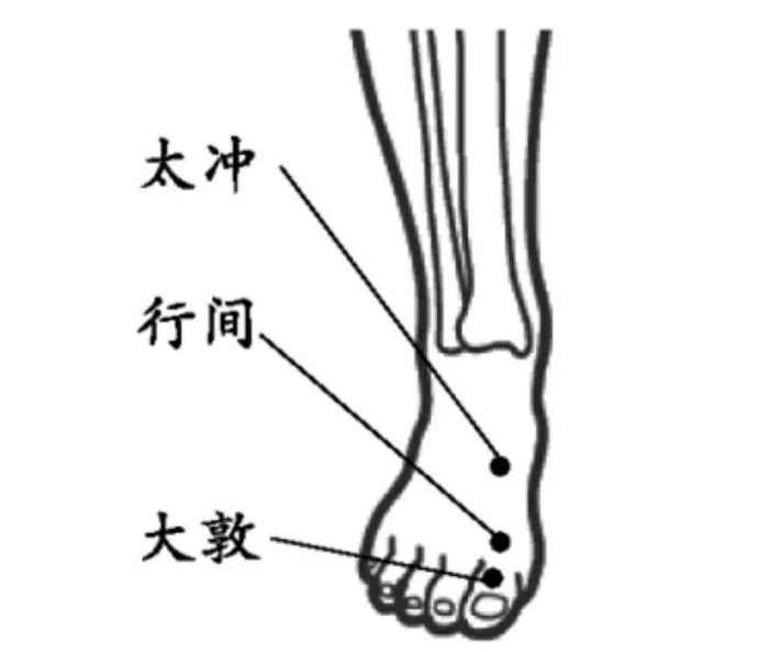 《针灸经络经穴图》