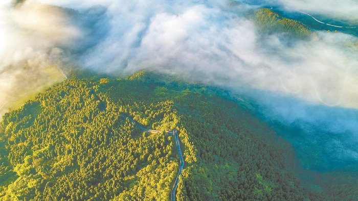     开发银行四川分行支持的龙泉山生态保护修复暨国家储备林项目（效果图）