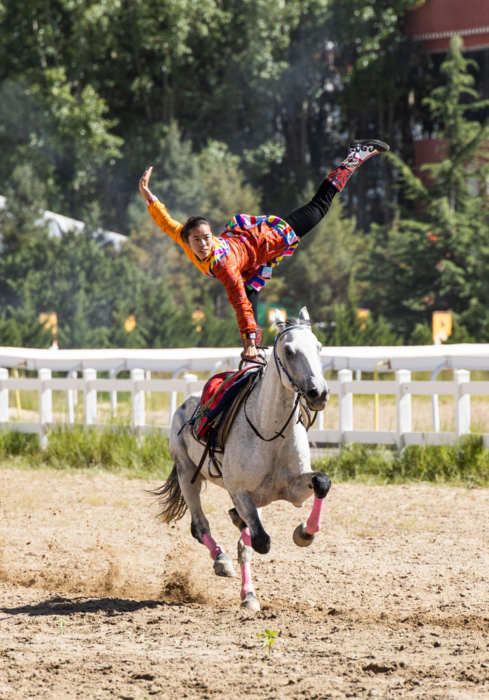 骑手在赛马大会现场表演斩劈(8月17日摄).新华社发(丁增尼达摄)