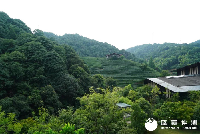 蓝莓评测｜住在隈研吾设计的养老社区，泰康之家·大清谷实探