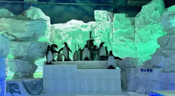 奇幻冰雪 等你来赏!|太阳岛_新浪新闻