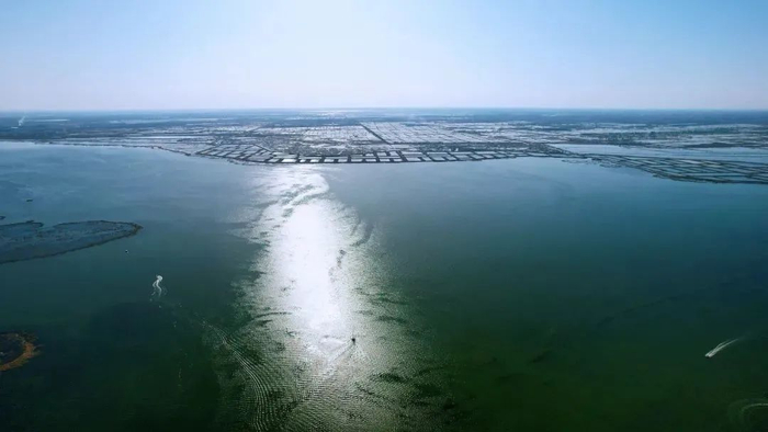 乌梁素海 张晓东 摄