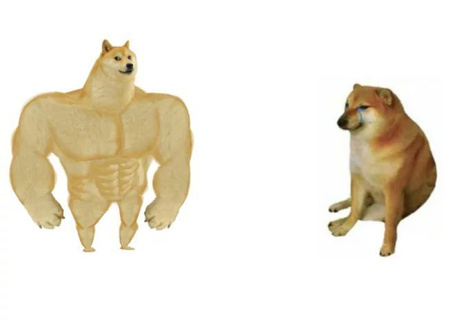 主人回应废柴表情包柴犬去世 请记住它带来的快乐