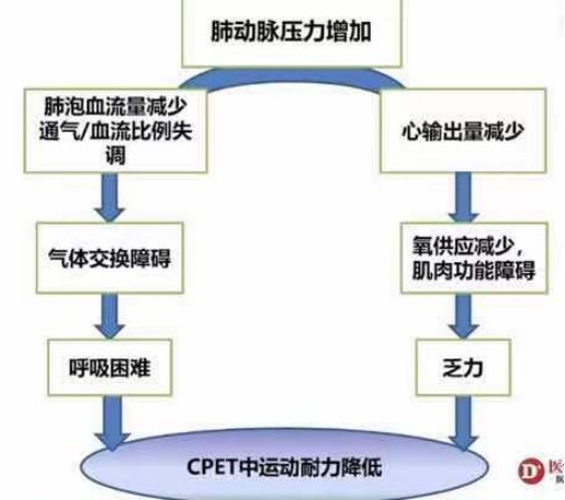 图 肺动脉高压与CPET示意图