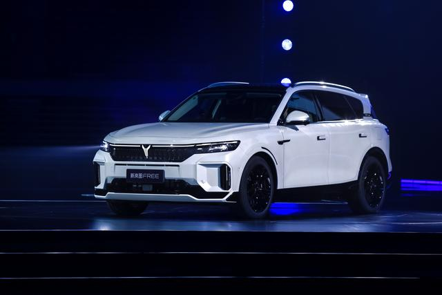 5万元,12月31日前购买新岚图free的用户,可以用1万元的价格买断百度