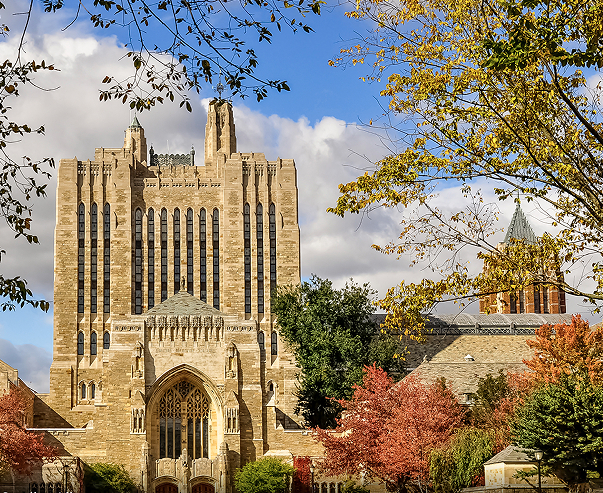 图1  耶鲁大学图书馆