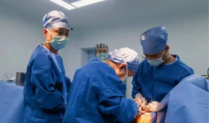 （器官移植团队在手术中）