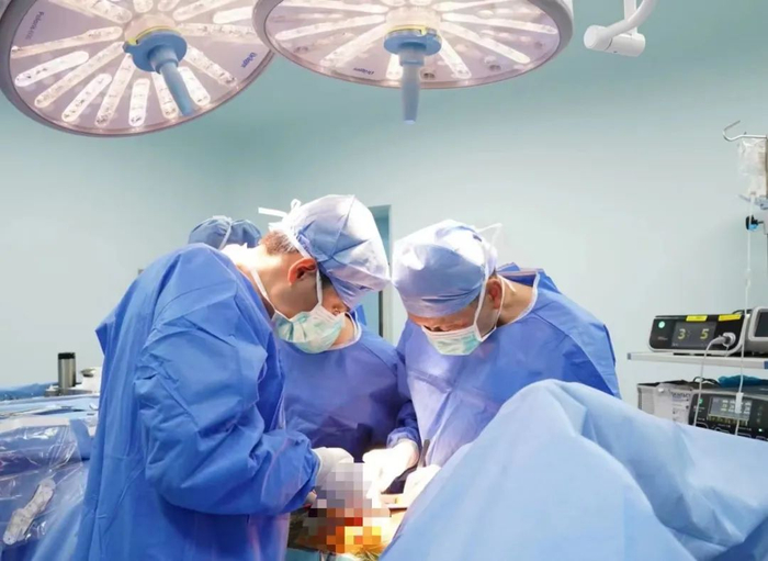 （器官移植团队在手术中）