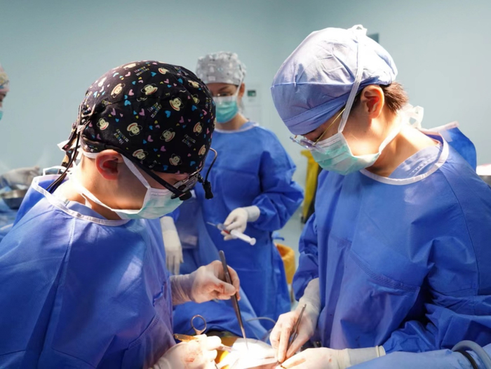 （器官移植团队在手术中）