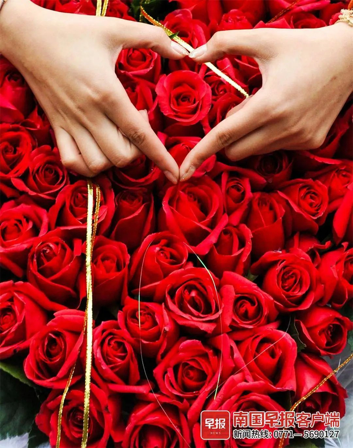 ▲在南宁市一花市，一名女子在玫瑰花束上比出爱心形状。南国早报全媒体记者 游拥军摄