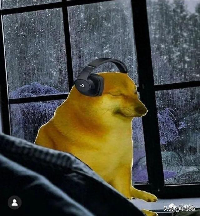 世界上最棒的表情包小狗"cheems"离开了