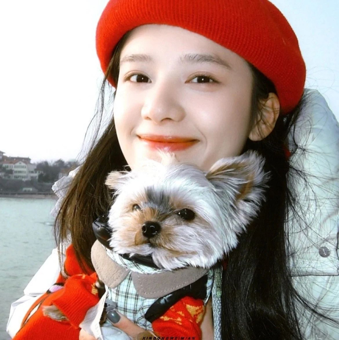 张婧仪这几张真的很适合做头像