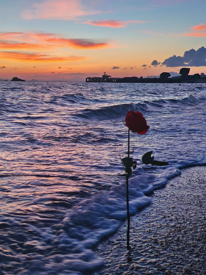 海边日落晚霞照这样拍,发朋友圈超好看!__财经头条