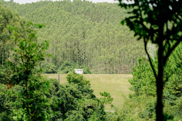 解锁水美村登高探幽好去处小众唯美