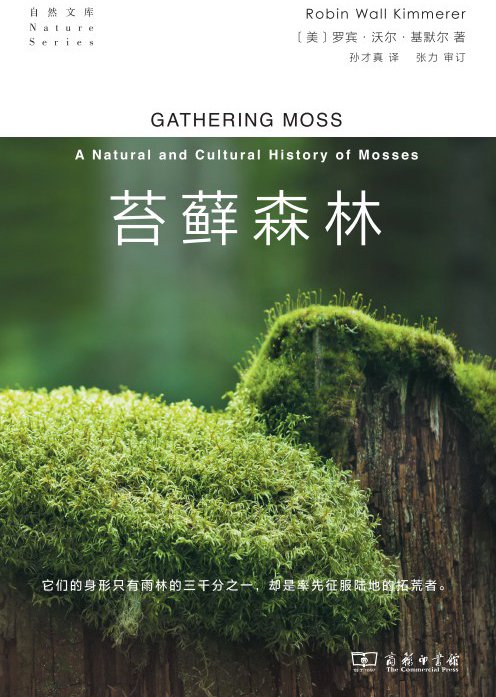 《苔藓森林》书封