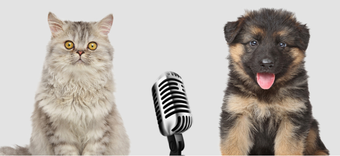 （图源：帅克宠物官网）