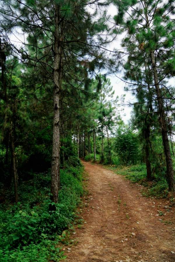 解锁水美村登高探幽好去处小众唯美