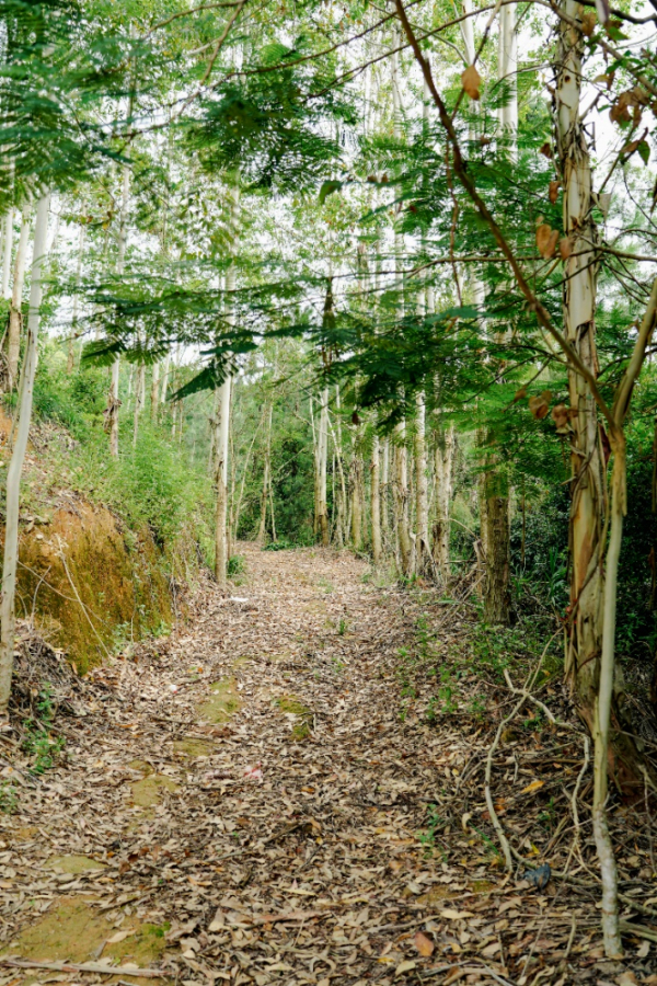 解锁水美村登高探幽好去处小众唯美
