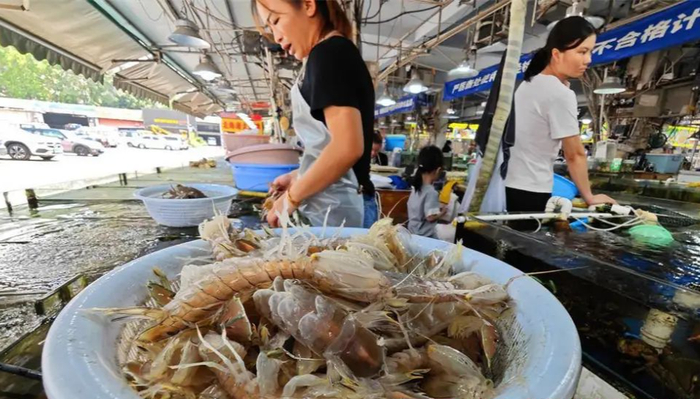 海鲜市场上售卖的皮皮虾。