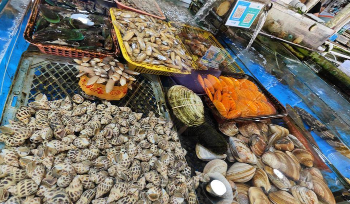 各种螺类、鱼类海鲜价格有一定幅度走低。