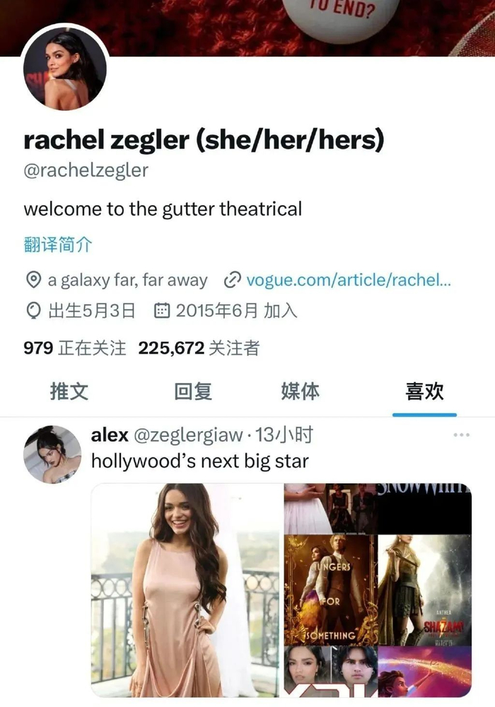 （瑞秋·齐格勒推特截图）