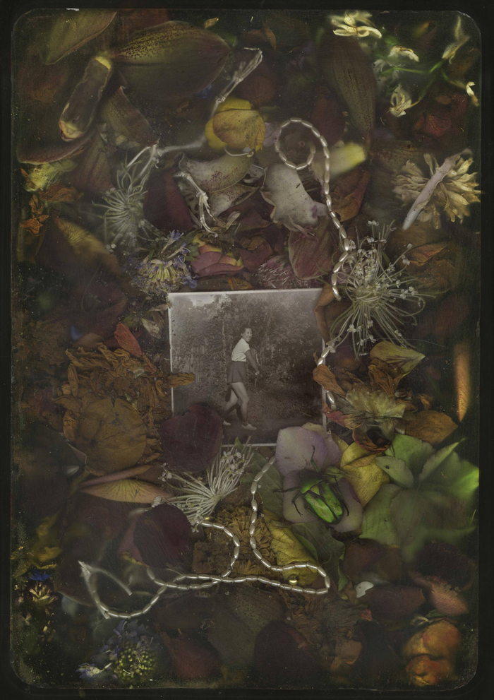 彼岸花，马良 作品