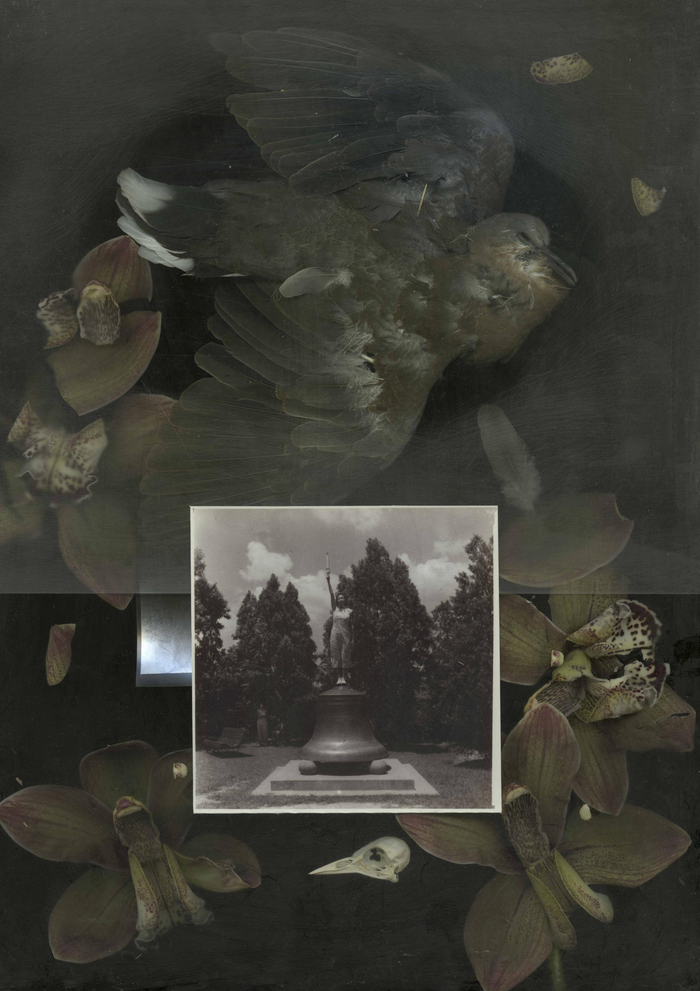 彼岸花，马良 作品