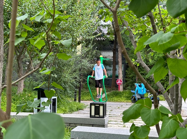 位于珠市口西大街北侧的口袋公园里，安装着上拉撑体训练器