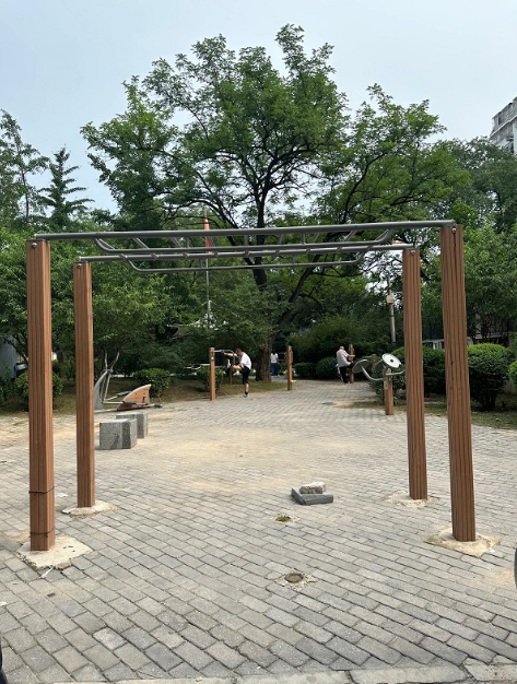 东城区民安小区，虽然没有单杠，但安装了天梯