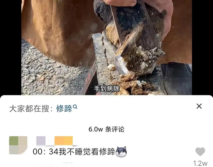 来源：网络