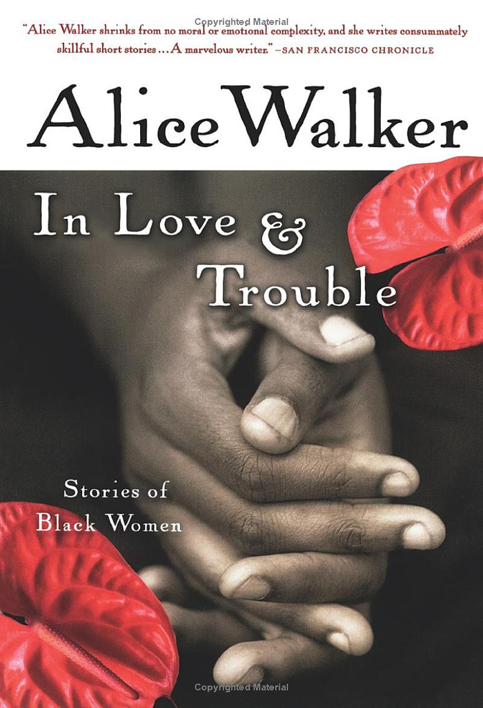 《爱与烦恼：黑人女性的故事》（In Love & Trouble: Stories of Black Women）书封