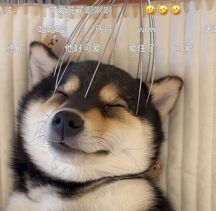 来源：网络