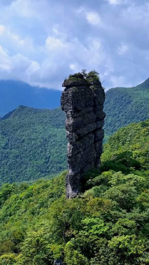 金佛山南坡图片