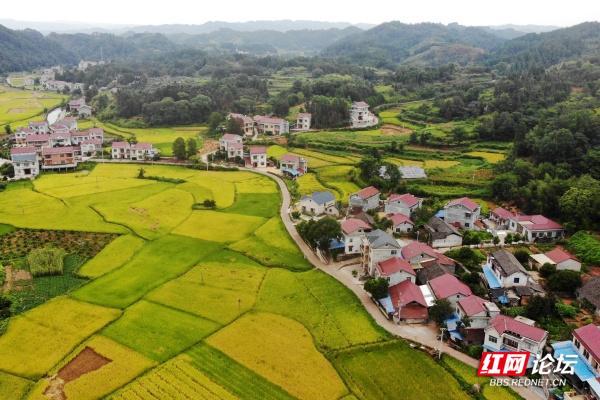 麻阳苗族自治县有多大图片