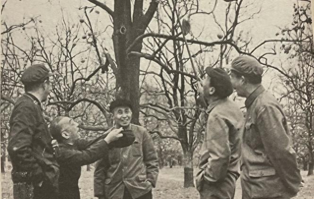 陈植、赵深等在公园里（图源：《陈植——世纪人生》）