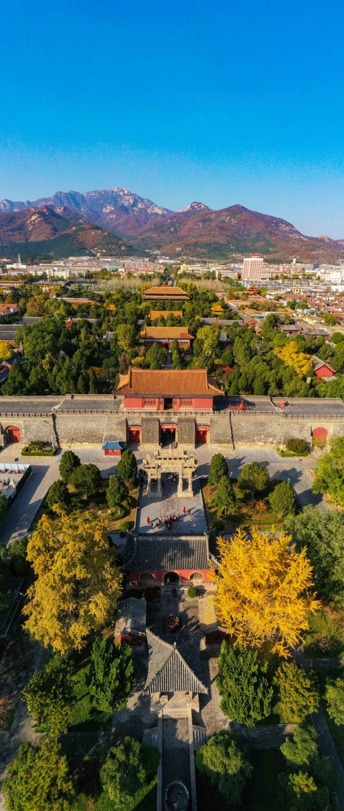 漫游泰山指南丨红墙黛瓦,树影婆娑,感受岱庙千年岁月的沉淀|泰山_新浪