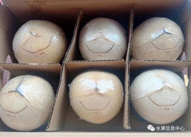椰青、椰皇、易开椰、椰妃、烤椰等，究竟区别在哪里？|椰子|烧烤|泰国|海南|椰肉_新浪新闻