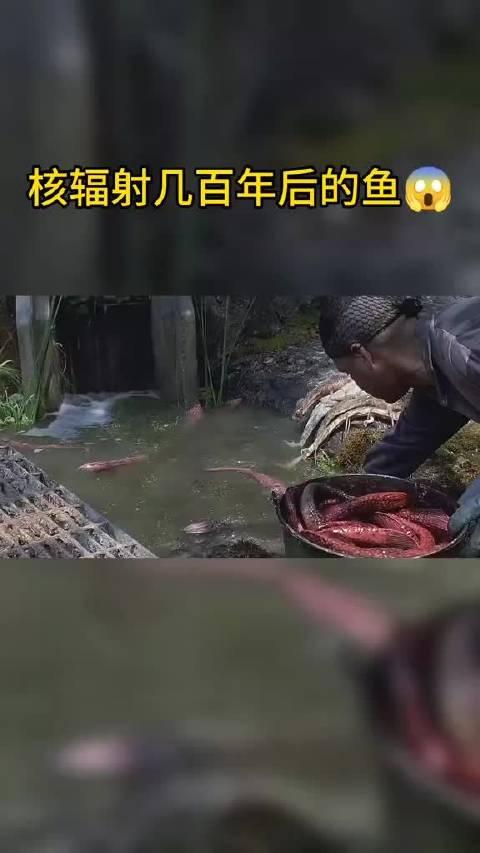 核辐射鱼变异图片