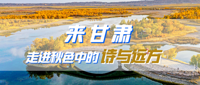 来源：每日甘肃网